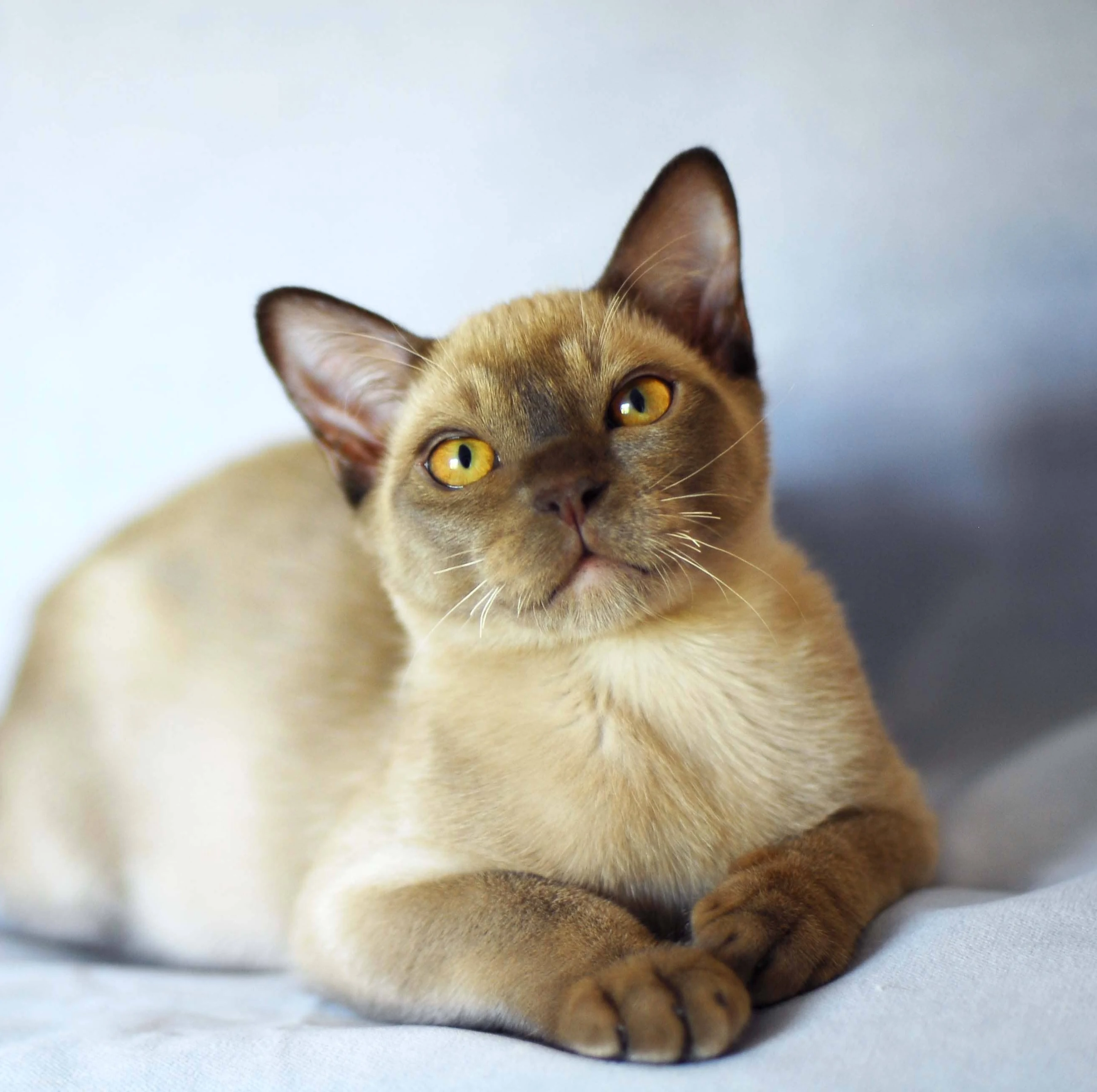 До: реальное фото